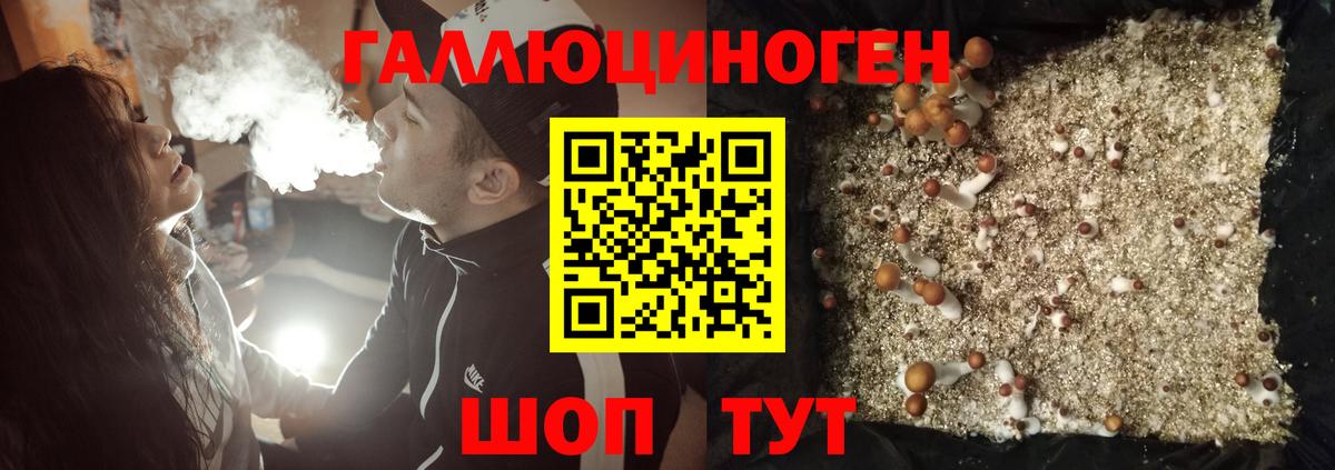 Галлюциногенные грибы MAGIC MUSHROOMS Еманжелинск
