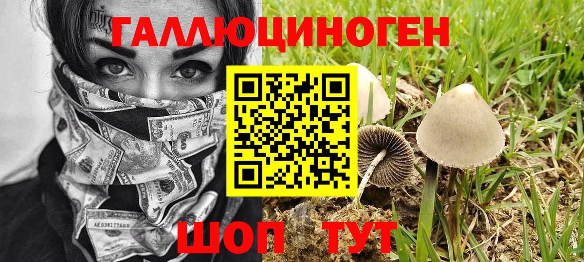 Галлюциногенные грибы мухоморы  Вход с VPN  Еманжелинск  Псилоцибиновые грибы GOLDEN TEACHER 